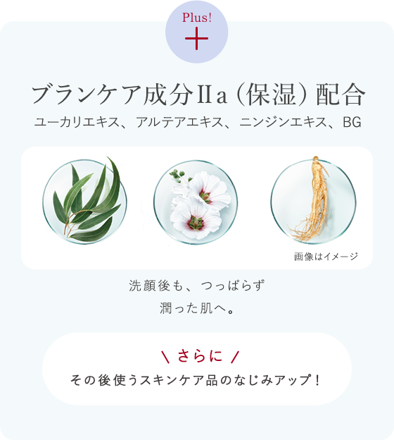 花王 ALBLANC（アルブラン） 商品情報 マイクロムース リフレッシャー