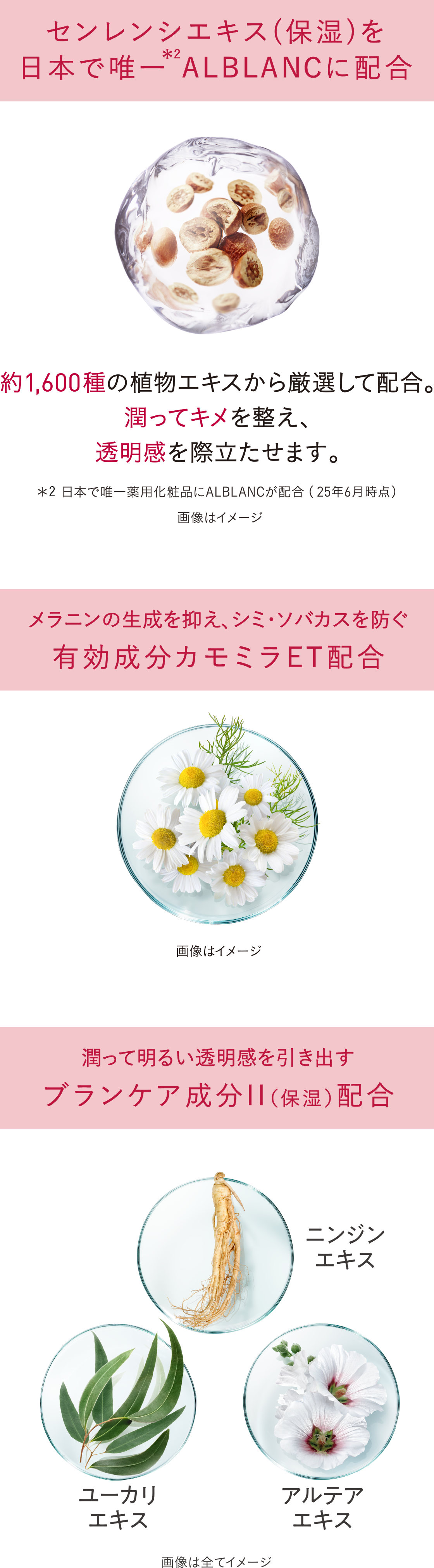 花王 ALBLANC（アルブラン） 商品情報 ブライトニングハンドセラム