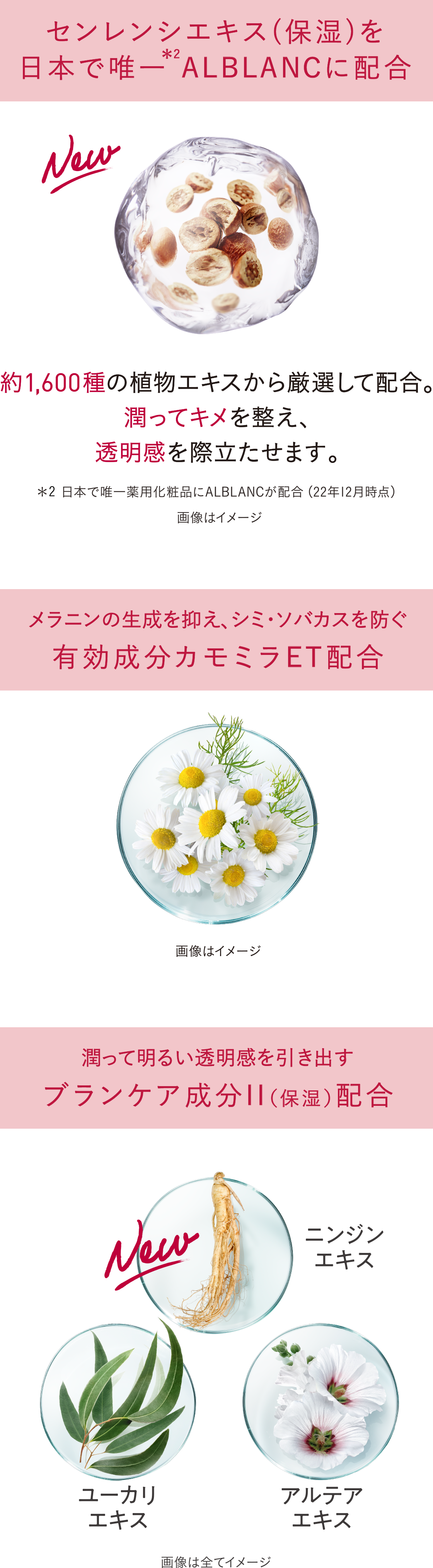 花王 ALBLANC（アルブラン） 商品情報 薬用美白ハンドクリーム