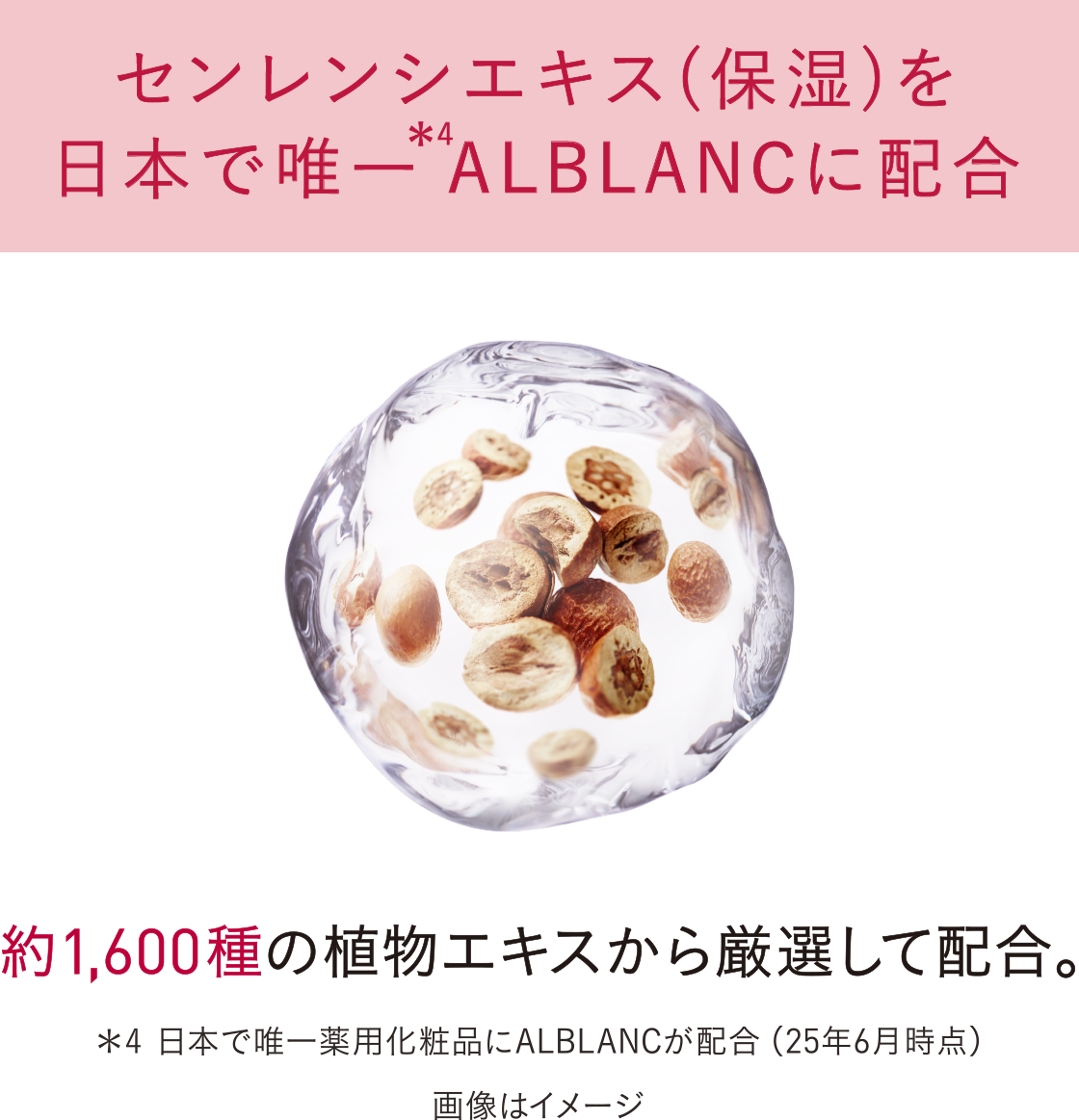 花王 ALBLANC（アルブラン） 商品情報 イルミネイティング セラム