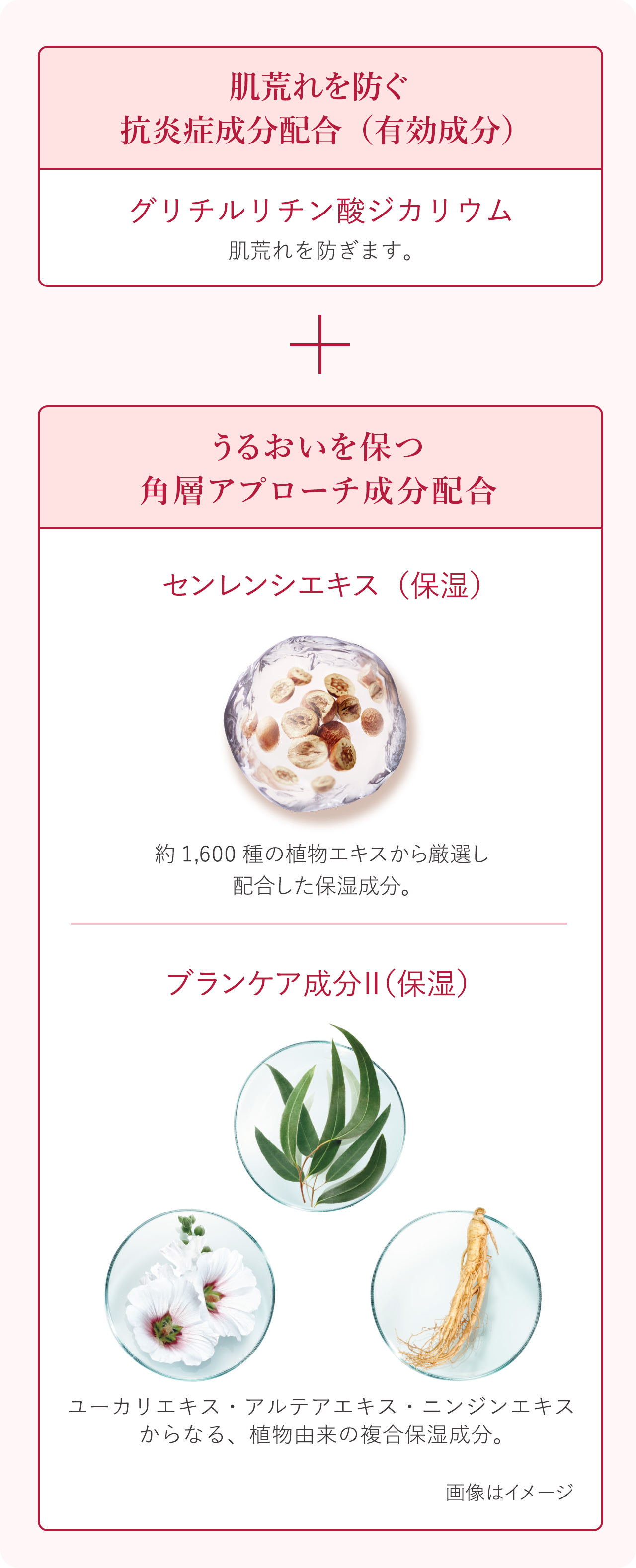 花王 ALBLANC（アルブラン） 商品情報 リペア セラムマスク