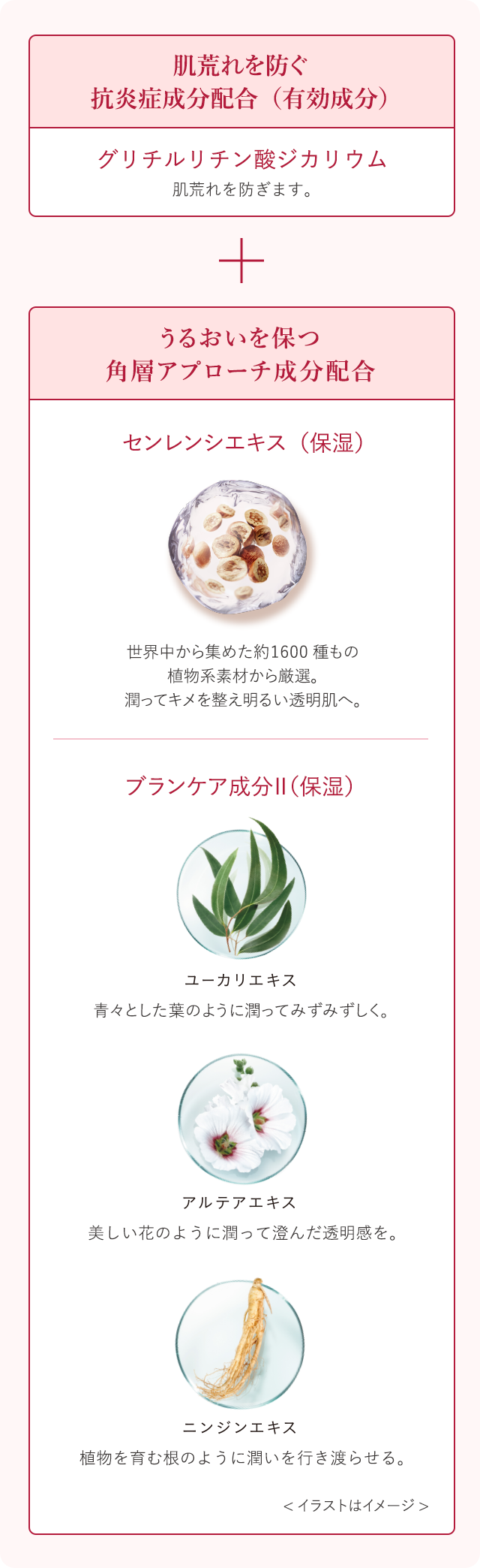 花王 ALBLANC（アルブラン） 商品情報 リペア セラムマスク