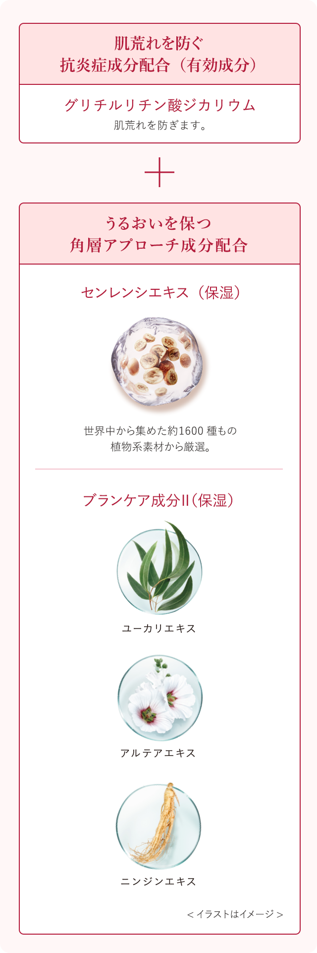 花王 ALBLANC（アルブラン） 商品情報 リペア セラムマスク