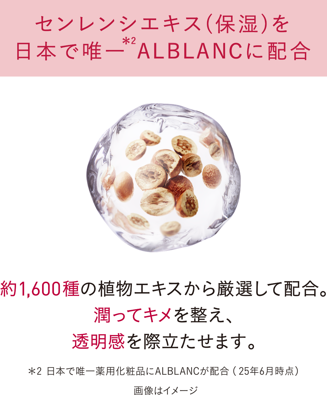 花王 ALBLANC（アルブラン） 商品情報 イルミネイティング