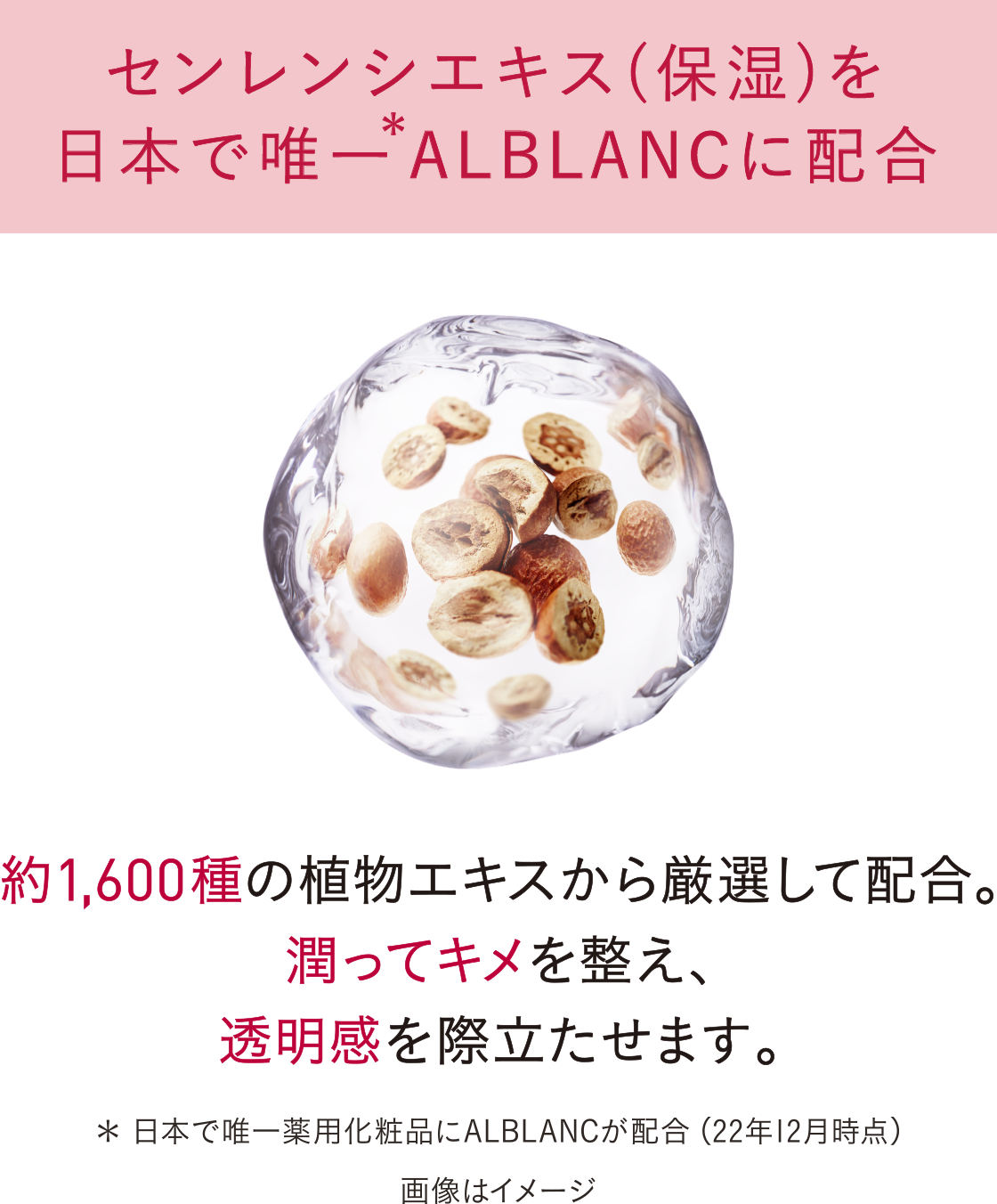 花王 ALBLANC（アルブラン） 商品情報 バイタライジングクリーム
