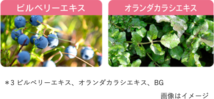 アルブランローション、エマルジョン詰め替え アルブラン ザ エマルジョンⅢ レフィル（つけかえ用） | 花王