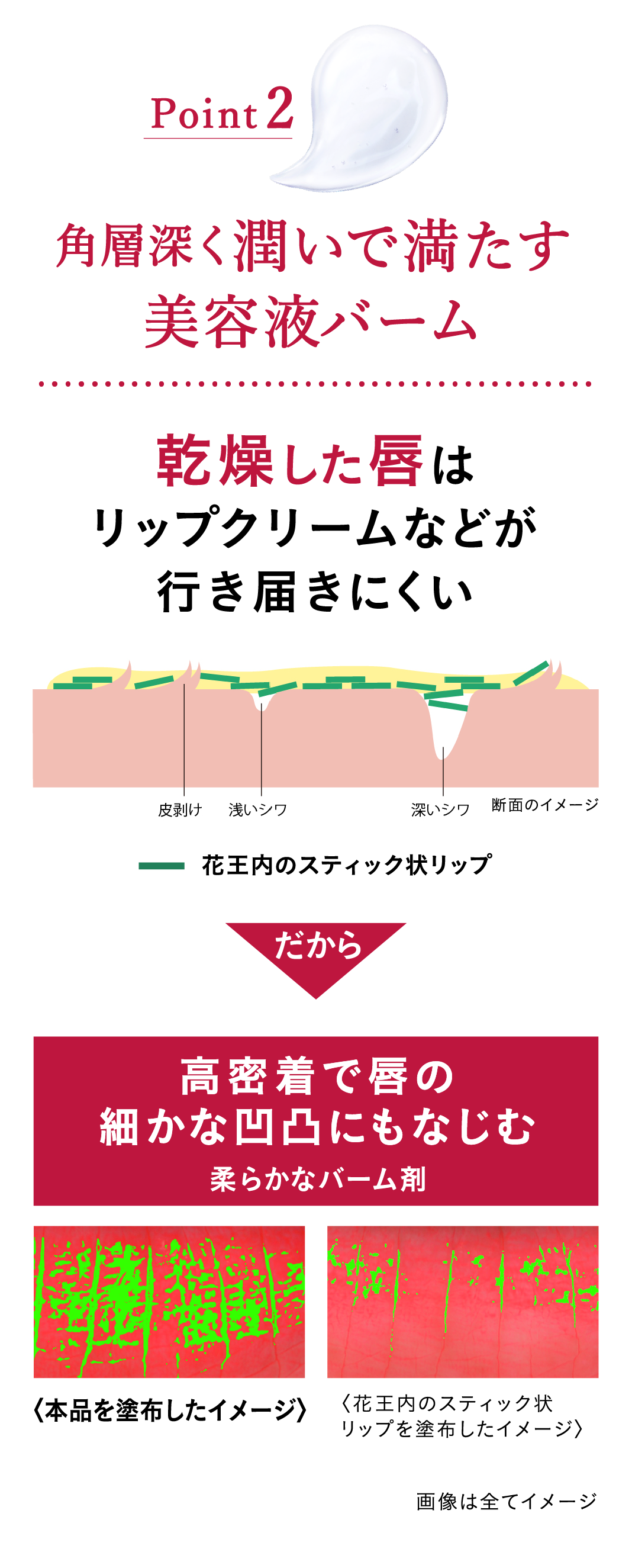 花王 ALBLANC（アルブラン） 商品情報 リップセラムバーム
