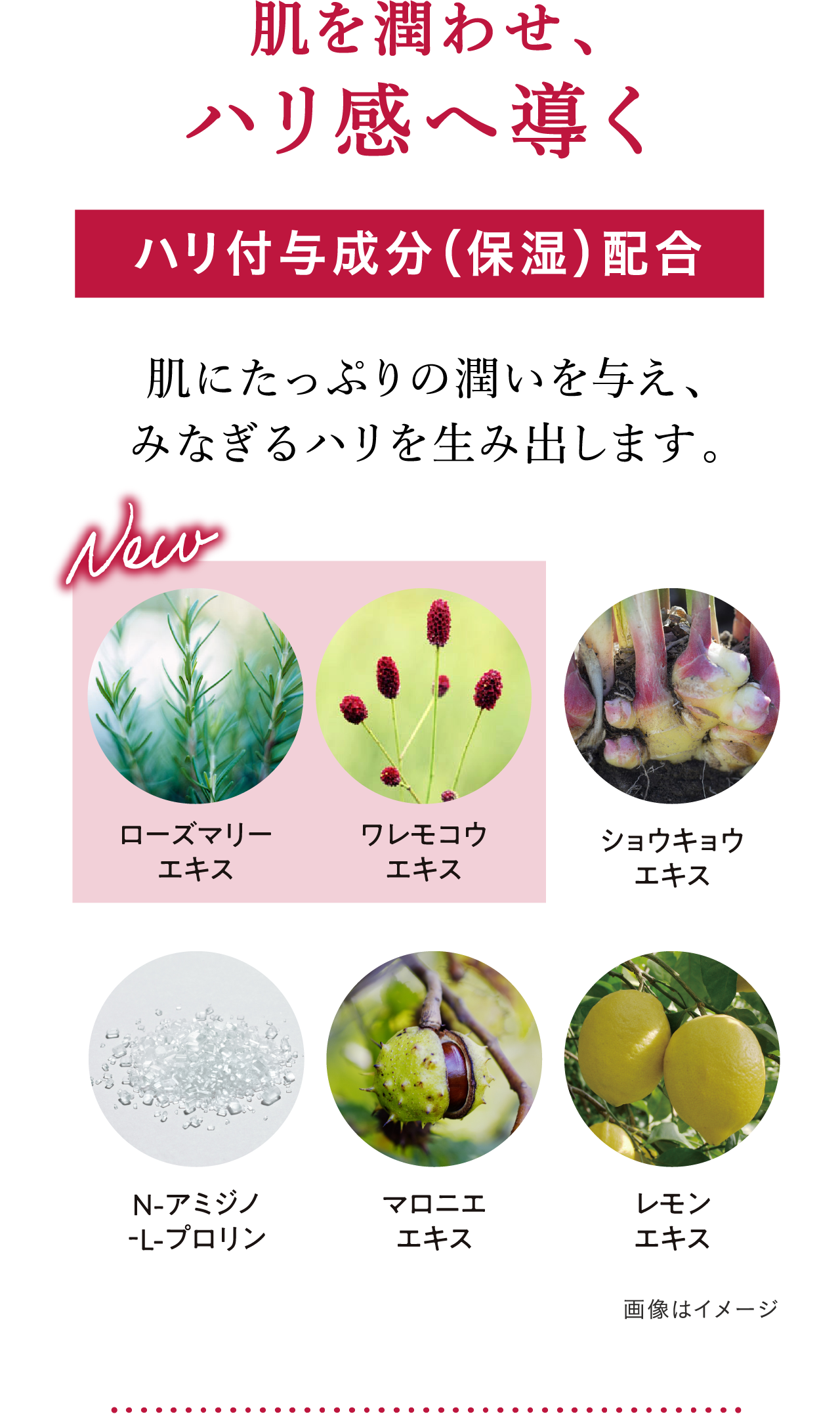 花王ソフィーナ アルブラン バイタライジングクリーム