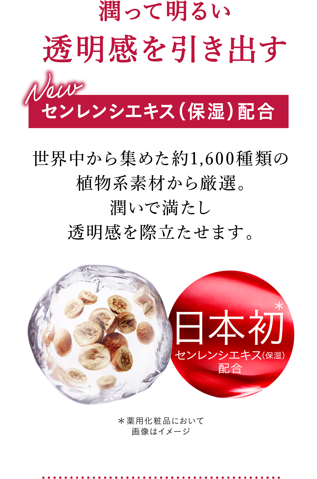 花王ソフィーナ アルブラン バイタライジングクリーム