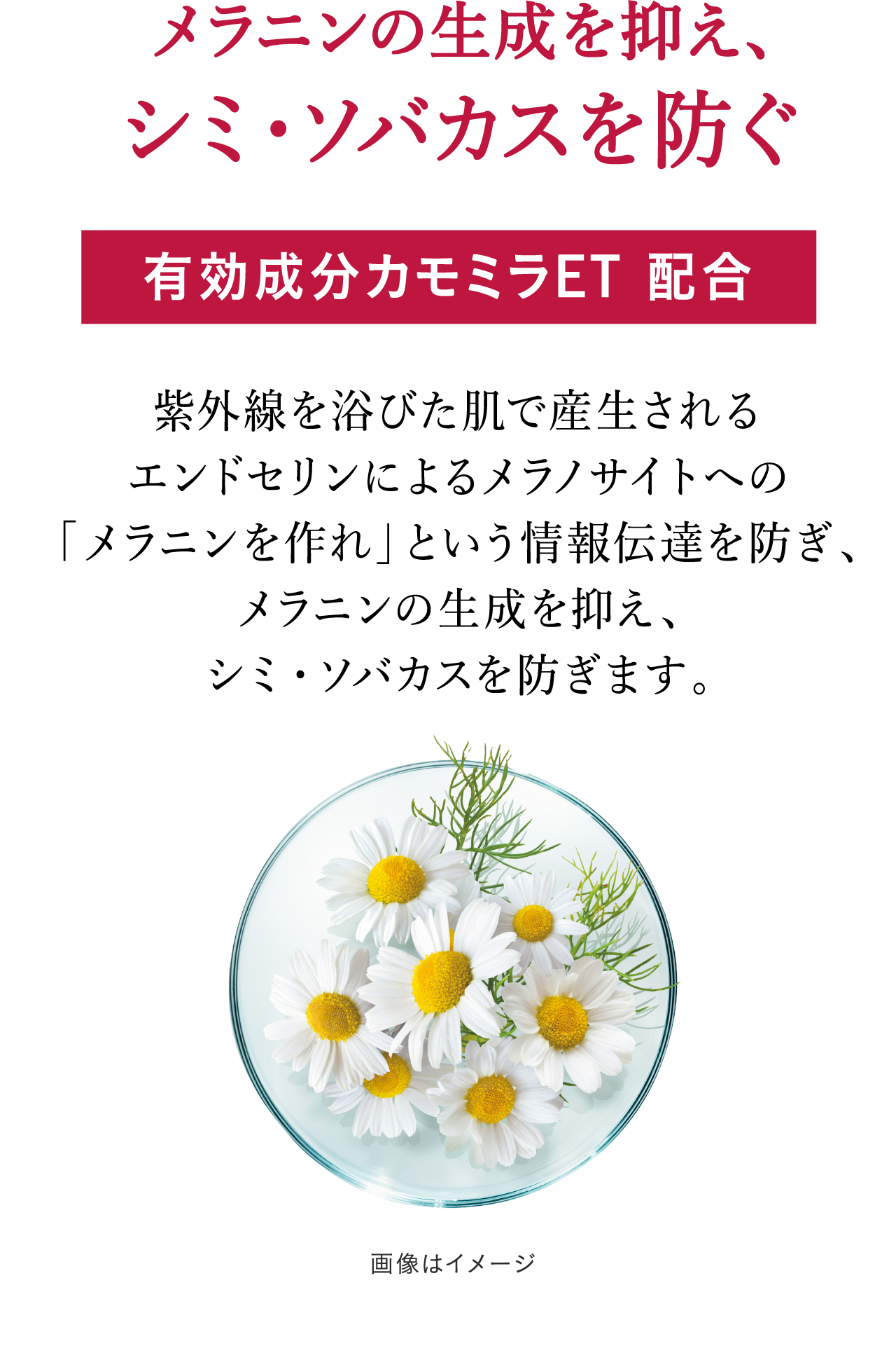 花王ソフィーナ アルブラン バイタライジングクリーム