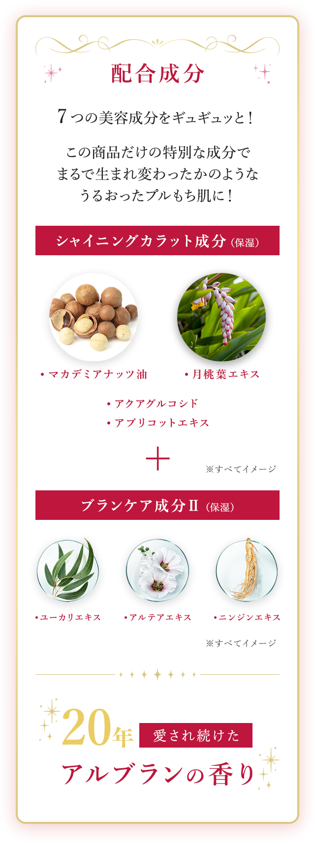 花王ソフィーナ アルブラン シャイン トリートメント マスク 花王ソフィーナ アルブラン シャイン トリートメント マスク