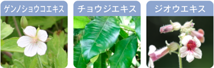 花王 ALBLANC（アルブラン） ザ ローション（化粧水）