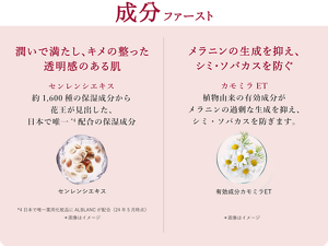 成分ファースト