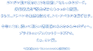 太陽と闘うUV美容液