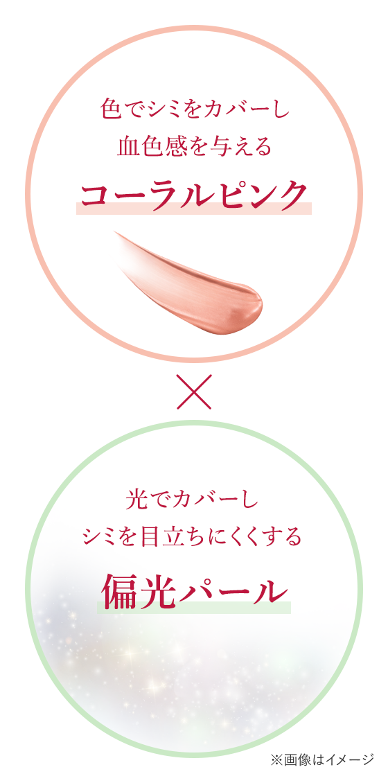 花王 ALBLANC（アルブラン） カモフラチップ PK