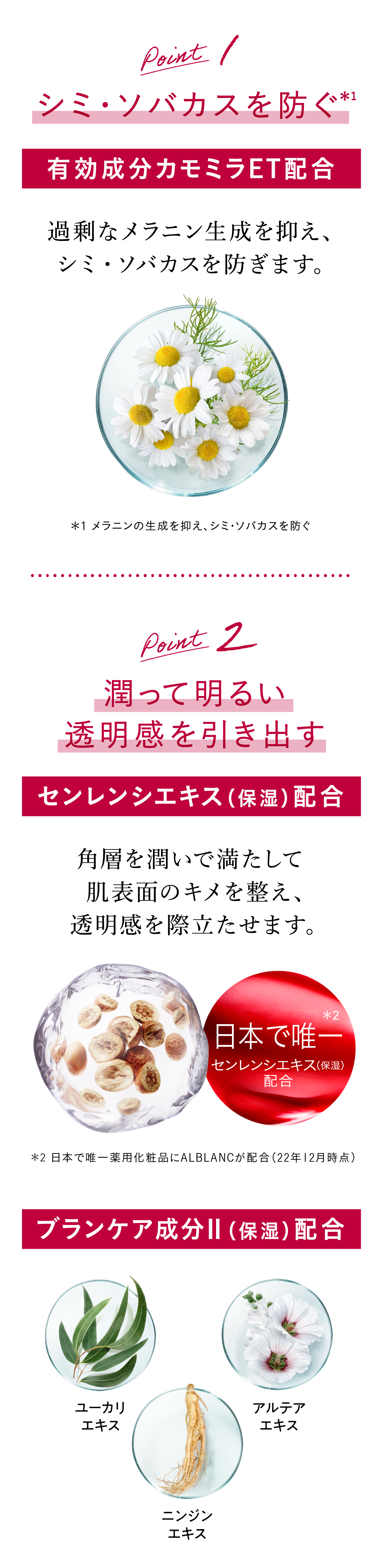 花王ソフィーナ アルブラン ボディセラムクリーム