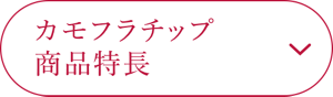 カモフラチップ 商品特長