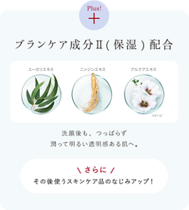 潤って明るい透明感を引き出すブランケア成分II（保湿）配合