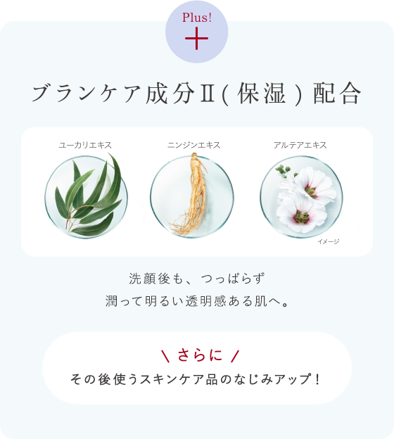 花王 ALBLANC（アルブラン） 商品情報 マイクロムース リフレッシャー