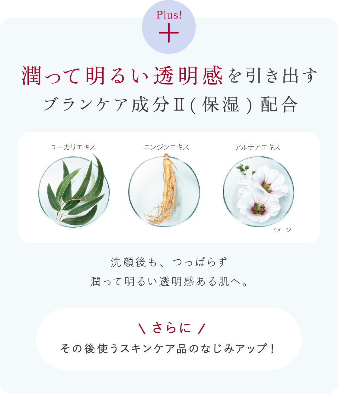 花王 ALBLANC（アルブラン） 商品情報 マイクロムース
