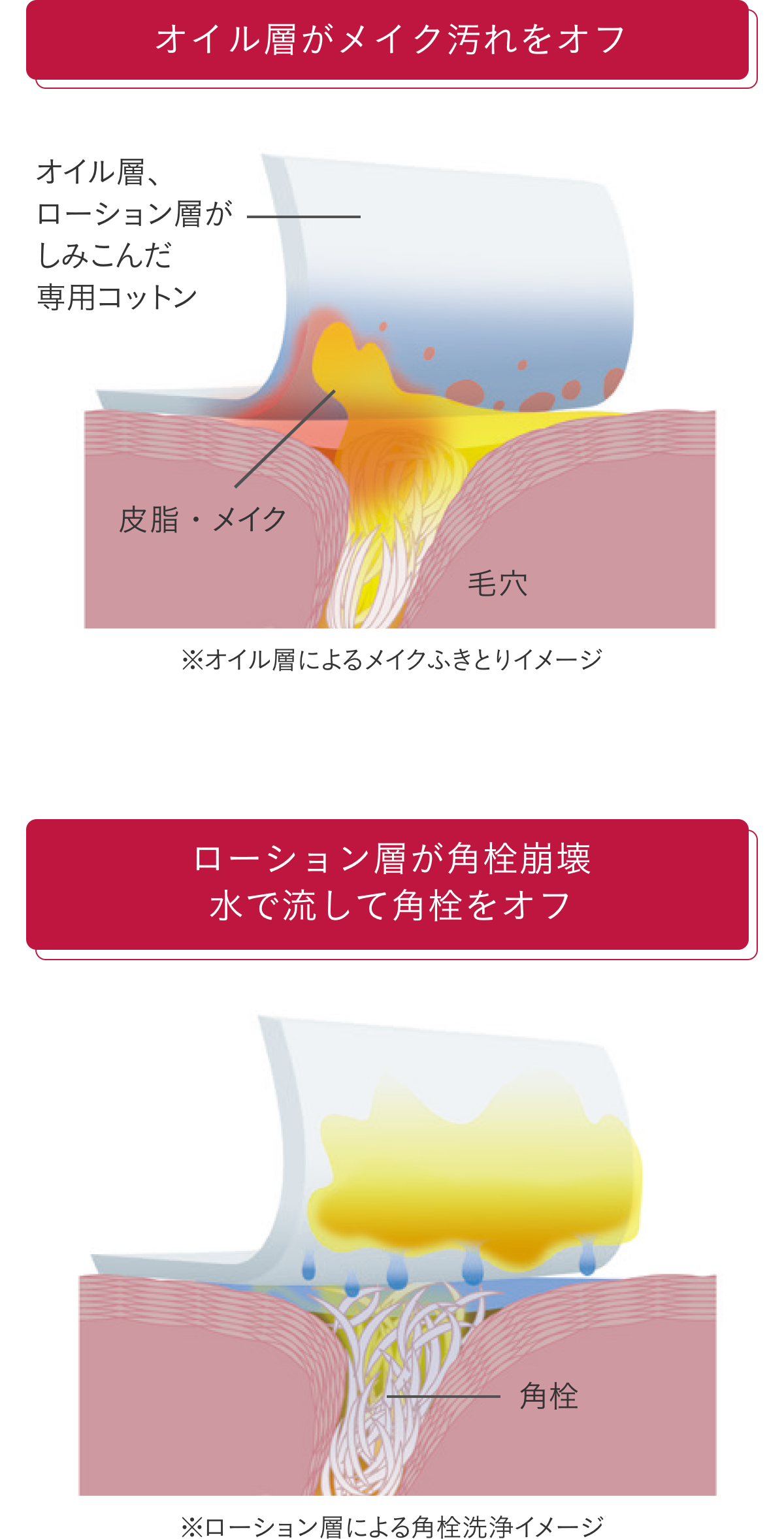 花王 ALBLANC（アルブラン） 商品情報 クラリファイイング