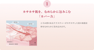 カサカサ肌を、なめらかに包み込む「カバー力」