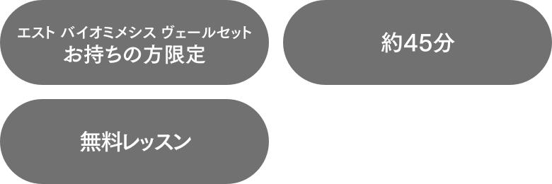 花王 ソフィーナ Beauty Base By Kao エスト バイオミメシス ヴェール オンラインレッスン