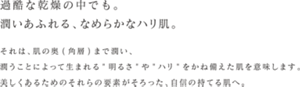 過酷な乾燥の中でも。 潤いあふれる、なめらかなハリ肌。  それは、肌の奥(角層)まで潤い、 潤うことによって生まれる"明るさ"や"ハリ"をかね備えた肌を意味します。 美しくあるためのそれらの要素がそろった、自信の持てる肌へ。