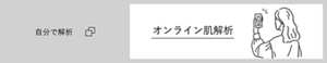 自分で解析 オンライン肌解析