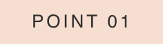 POINT 01