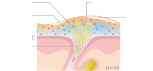 エスト クラリファイイング ジェルウォッシュ MED 発売