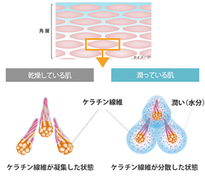 エスト ザ リップセラム　発売