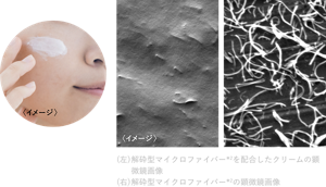 (左) 解砕型マイクロファイバー*2を配合したクリームの顕微鏡画像 (右)解砕型マイクロファイバー*2の顕微鏡画像