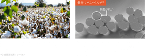 解砕型マイクロファイバー*2は綿実油をつくるときの副産物「コットンリンター」を原料としています。植物由来で生分解性のある素材です。＊2 皮膜形成剤：レーヨン 解砕型マイクロファイバー*2は旭化成独自のベンベルグⓇの紡糸技術を活用しています。ベンベルグⓇは繊維断面が真円に近く表面がなめらかなため肌あたりがやさしいのが特長です。
