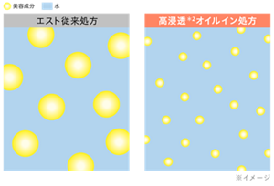 エストG.P. セラムイン ローション/エマルジョン｜est（エスト）