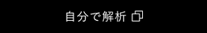 自分で解析