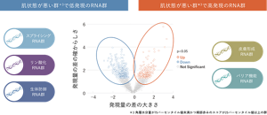 ＊3  角層水分量が75パーセンタイル値未満かつ頬部赤みのスコアが25パーセンタイル値以上の群