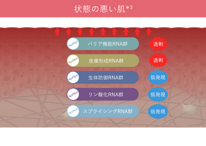 ＊イメージ ＊3 角層水分量が75パーセンタイル値未満かつ頬部赤みのスコアが25パーセンタイル値以上の群