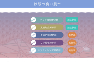＊イメージ ＊4 角層水分量が75パーセンタイル値以上かつ 頬部赤みのスコアが25パーセンタイル値未満の群