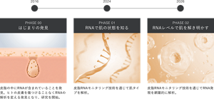 PHASE 00 はじまりの発見 皮脂の中にRNAが含まれていることを発見。ヒトの皮膚を傷つけることなくRNAの解析を変える発見となり、研究を開始。 PHASE 01 RNAで肌の状態を知る 皮脂RNAモニタリング技術を通じて肌タイプを解析。 PHASE 02 RNAレベルで肌を解き明かす 皮脂RNAモニタリング技術を通じてRNA発現を網羅的に解析。