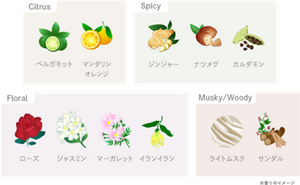 est SERUM O.N.E ADVANCED|est(エスト) est SERUM O.N.E ADVANCED|est(エスト)