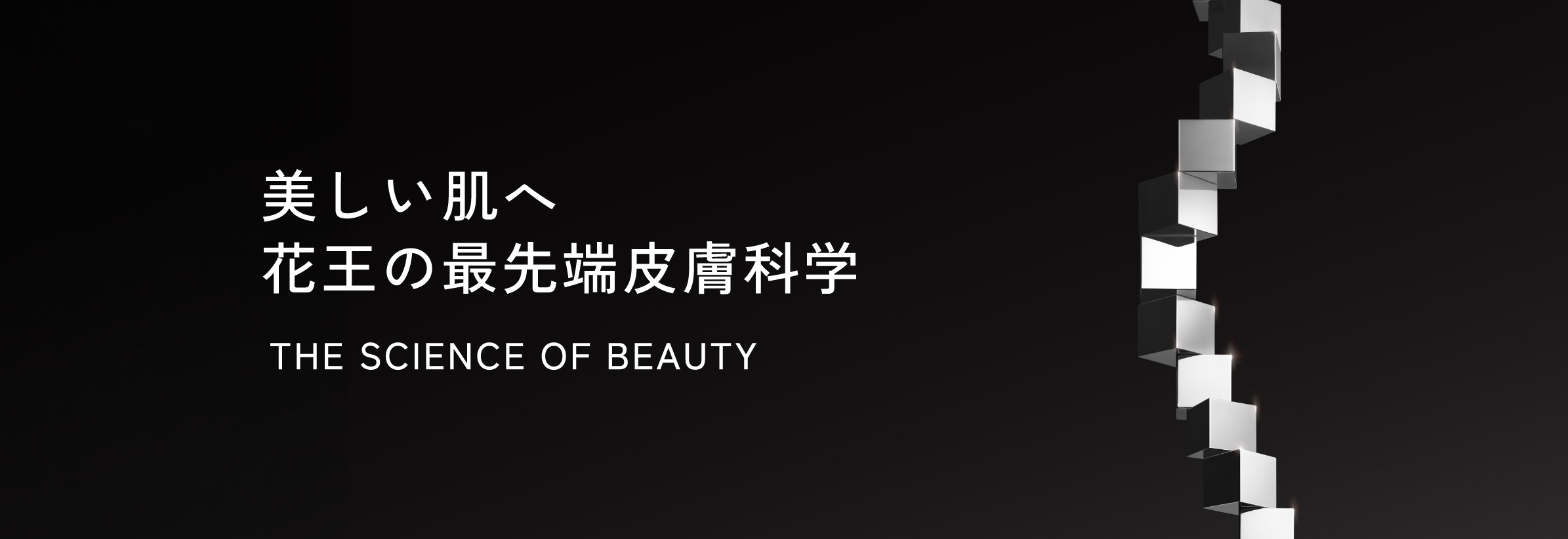 美しい肌へ 花王の最先端皮膚科学 THE SCIENCE OG BEAUTY