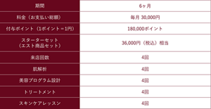 期間：6ヶ月/料金（お支払い総額）：毎月30,000円/付与ポイント（1ポイント＝1円）：180,000ポイント/スターターセット（エスト商品セット）：36,000円（税込）相当/来店回数：4回/肌解析：4回/美容プログラム設計：4回/トリートメント：4回/スキンケアレッスン：4回