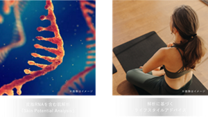 皮脂RNAを含む肌解析「Skin Potential Analysis」　解析に基づくライフスタイルアドバイス
