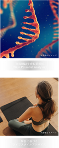 皮脂RNAを含む肌解析「Skin Potential Analysis」　解析に基づくライフスタイルアドバイス