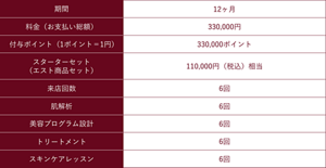 期間：12ヶ月/料金（お支払い総額）：330,000円/付与ポイント（1ポイント＝1円）：330,000ポイント/スターターセット（エスト商品セット）：110,000円（税込）相当/来店回数：6回/肌解析：6回/美容プログラム設計：6回/トリートメント：6回/スキンケアレッスン：6回