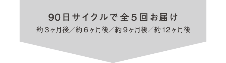 エスト公式オンラインショップ限定 定期便のご案内 エスト エスト公式オンラインショップ限定 定期便のご案内 エスト