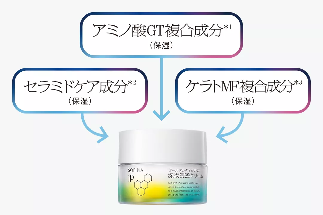 公式】花王 ソフィーナ SOFINA iP ゴールデンタイムリペア 深夜