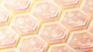 ※画像はイメージ