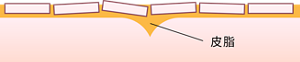 皮脂
